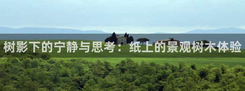 首页摩根娱乐:树影下的宁静与思考:纸上的景观树木体验