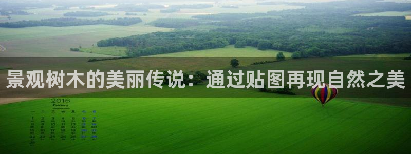 摩根娱乐注册平台:景观树木的美丽传说:通过贴图再现自然之美