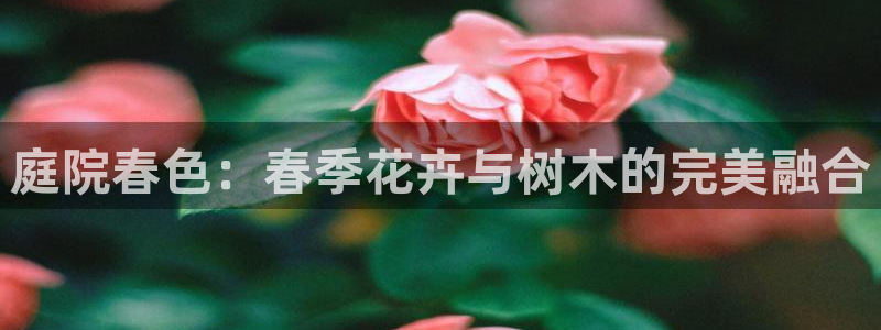 首页摩根娱乐平台:庭院春色:春季花卉与树木的完美融合