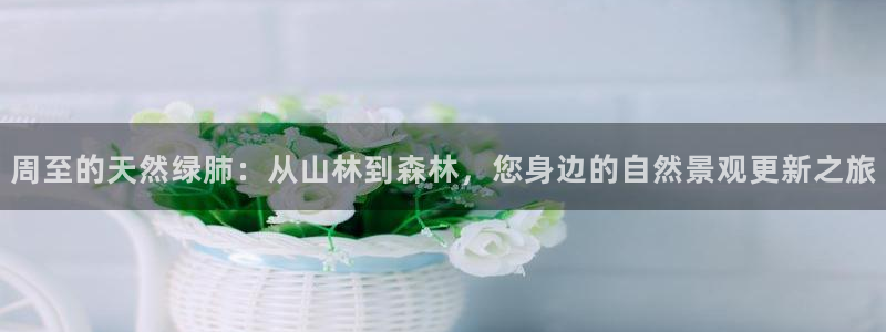 摩根娱乐注册:周至的天然绿肺:从山林到森林,您身边的自然景观更新之旅