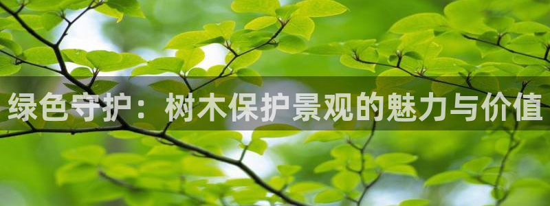 摩根娱乐宝 怎么样:绿色守护:树木保护景观的魅力与价值