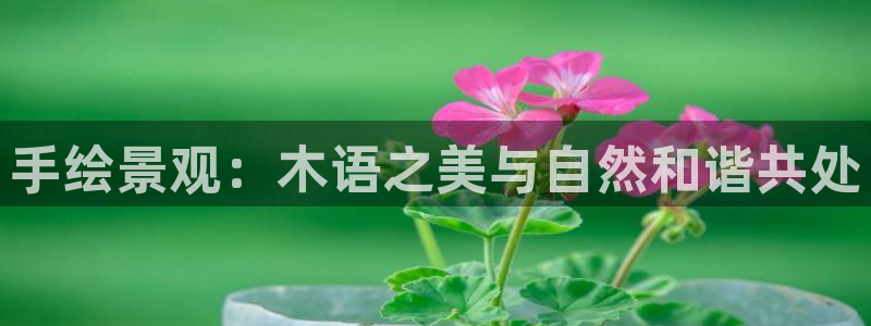 摩根会娱乐有限公司:手绘景观:木语之美与自然和谐共处