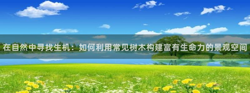 摩根娱乐宝口碑:在自然中寻找生机:如何利用常见树木构建富有生命力的景观空间